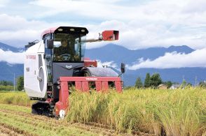 長野県安曇野市でコシヒカリの稲刈り始まる