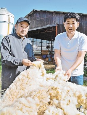 【ふくしま創生】福島県葛尾村産の羊毛で肌キレイ　良質なケラチン含有　全国初保湿クリーム原料に