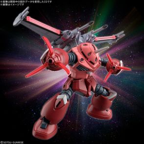 ＜機動戦士ガンダムSEED FREEDOM＞HGズゴック　インフィニットジャスティス弐式の一部組み込みも