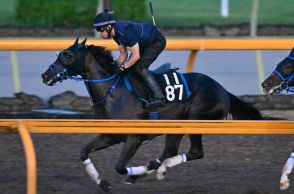 【新潟記念追い切り】ライトバックは馬なりでラスト１１・４秒　茶木調教師「古馬相手にどんな競馬ができるか」