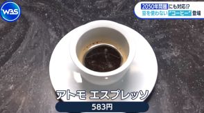 栽培地が半減する危機　コーヒーやチョコレートを襲う「2050年問題」【WBS】