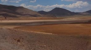 メキシコ北部で深刻な干ばつ、ひび割れたダムに魚の死骸　養蜂にも影響