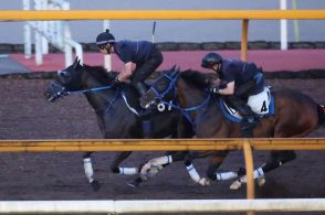 【新潟記念】ライトバックは余裕の手応えで1馬身先着　茶木師「春より我慢が利くようになってきた」　