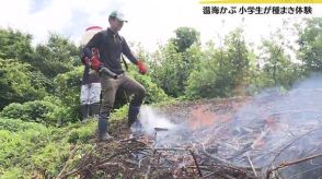 在来野菜・鶴岡市の「温海かぶ」の焼畑農業、地元の小学生が学ぶ