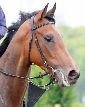 【注目馬動向】レガレイラはルメール騎手とコンビ継続でローズＳで始動　６戦目で初の牝馬限定戦