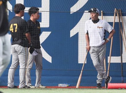 阪神・岡田監督が石井、桐敷と会話　石井は2試合連続失点中