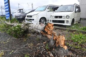 台風の特別警報、今回が４回目　「伊勢湾台風」級が発表目安　10号も命守る行動が必須