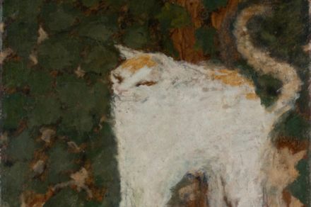 「あの絵画の子だわ……」ピエール・ボナールの名画そっくりの猫にSNSざわめく「柄も姿もボナ～ル！！」