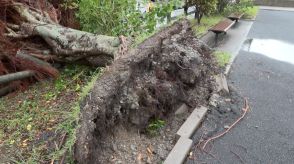 【最強クラス】台風10号で「特別警報」　屋久島に最接近し九州上陸へ…宮崎市では“竜巻”で4人ケガ　暴風に耐える姿が話題の“ヤッシー”にも暴風雨