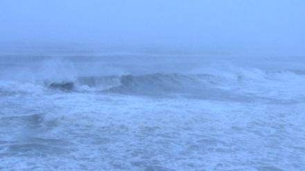 【台風情報】台風10号　鹿児島・枕崎市全域に避難指示　“電照菊”生産農家では強風に備え農業用ハウスの強度高める作業