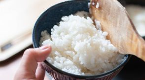 ご飯はどれくらいの時間保温できる？冷凍ご飯をムラなく解凍するコツとは？管理栄養士が解説