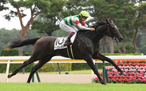 【2歳次走報】福永祐一厩舎初の新馬V　マイエレメントはアルテミスSを視野