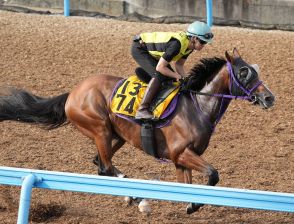 【新潟記念】バラジ　内から楽々併入、鹿戸師「前受けで後ろに突かれる形がいいかな」