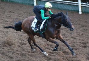 【新潟記念】アリスヴェリテ　時計以上の動き、柴田裕「いい状態を維持しています」