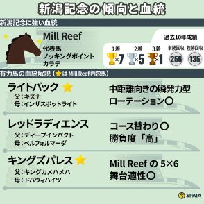 【新潟記念】持続力が持ち味のMill Reef内包馬が7連勝中　舞台適性高いライトバックに注目