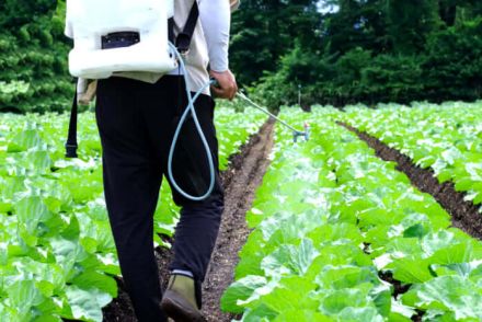 「農薬を使った野菜は危ない」論に有機農家が乗らない理由