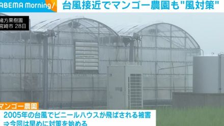 台風10号接近に備え 宮崎市のマンゴー農園も“風対策”