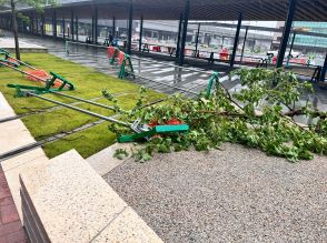 台風10号接近　倒木などの被害各地で