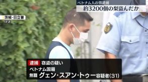 約3200個の梨を盗んだか、ベトナム人の男逮捕　茨城