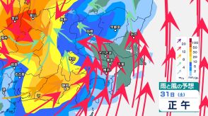 関東甲信では30日にかけて“バケツをひっくり返したような”激しい雷雨が降り大雨の恐れ 【1時間ごと・30日（金）午後9時までの雨風シミュレーション・29日午前11時現在】