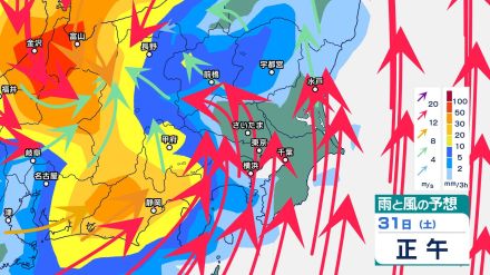 関東甲信では30日にかけて“バケツをひっくり返したような”激しい雷雨が降り大雨の恐れ 【1時間ごと・30日（金）午後9時までの雨風シミュレーション・29日午前11時現在】