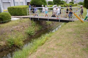 工場内にカニやウナギ　水辺や緑地が生物のオアシスに　環境保全PR