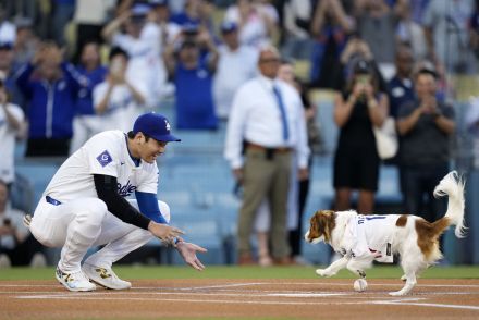 大谷翔平が史上８人目月間「１０―１０」達成！　デコピン始球式直後に４２号先頭打者本塁打