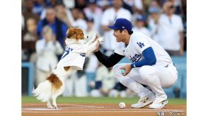 愛犬・デコピンパワーで42号ホームラン!大谷翔平選手が第一打席で先頭打者ホームラン　先着4万人に“ボブルヘッド”も配布