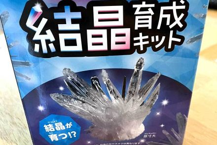 息子の自由研究が「ありえんカタチで着地」　父と挑戦するも予想外の展開に　「努力の結晶の形」