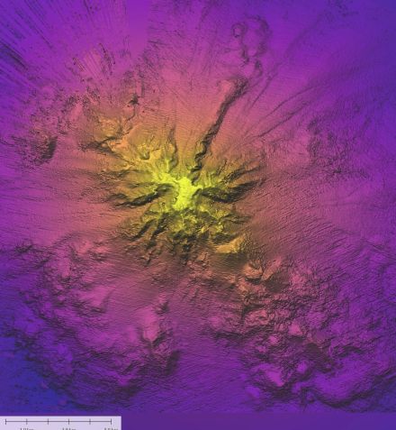 ３千メートル級の海山、希少な海洋生物も発見　太平洋の海底探査