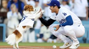 【MLB】 ボブルヘッドデーに大谷が千両役者の活躍　1HR2盗塁でドジャースの逆転勝利に貢献