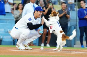 “デコピンの日”に大暴れ！大谷翔平が史上2人目「42－42」42号含む2安打2盗塁　愛犬に捧げる活躍