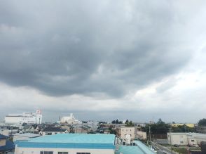 【速報】埼玉南中部、南西部に大雨注意報　土砂災害や浸水に注意　全域はすでに雷注意報が発令…竜巻など激しい突風、落雷の恐れも