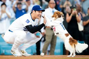 大谷翔平＆デコピンの「最も可愛い始球式」　米メディアも称賛「人生最高の日」