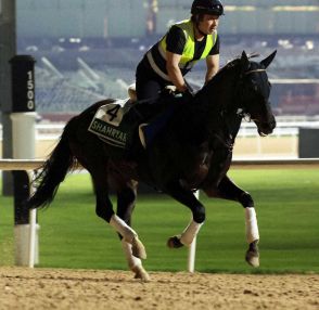 札幌記念5着のダービー馬シャフリヤール、2年連続BCターフ参戦へ　来月中旬に栗東帰厩