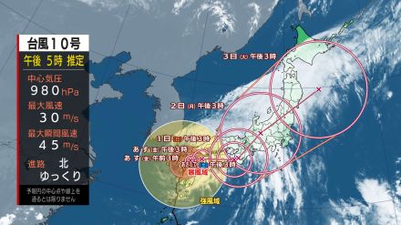 【台風情報/雨・風シミュレーションも】台風10号九州上陸　ノロノロ迷走大雨長く続く可能性も　このあとの風雨はどうなる?（29日午後5時進路図・情報更新）