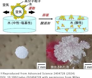 酸性で割れて気体を放出、シナモン粒子使ったシャボン玉開発 大阪工業大