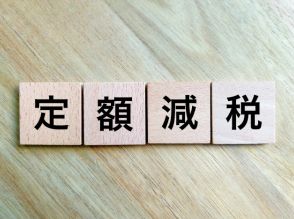 今年6月から導入された定額減税、「手取り額の増加を期待しない」人は何割いる？