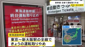 東海道新幹線が29日の運転を全て取りやめ　利用客に混乱「バスも在来線もない」「帰れなくなった」