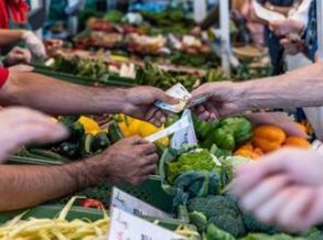 ドイツのインフレ率、８月は２％に減速－ＥＣＢ追加利下げ後押しへ