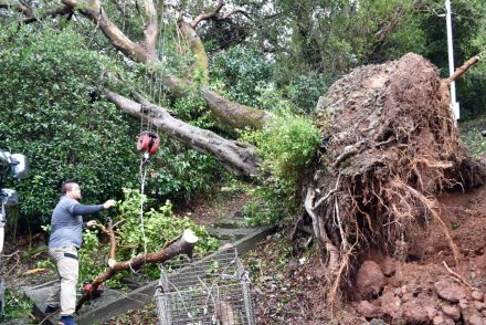 経験ない暴風「怖かった」　台風常襲地もおびえた　牙むく〝最強〟台風10号、家屋や巨木をなぎ倒す　鹿児島県内、長引く影響懸念