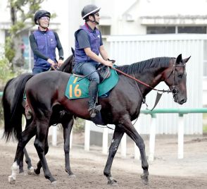 名馬がズラリ並ぶ超良血９・１新潟５Ｒデビュー「すごくいい心臓。なかなかこの時期の２歳としてはない」