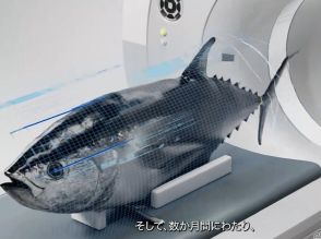 双日、農業プラットフォーム事業を強化--AIによる衛星画像を活用