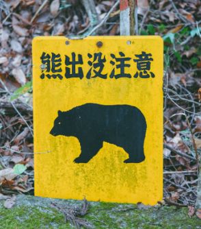 今年すでに12頭捕獲！東京都猟友会会長が明かした「都心に迫りくるクマの脅威」