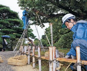 県内、台風10号に備え　兼六園で唐崎松を固定　被災地住宅に土のう設置