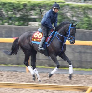 ライトバック、51年ぶり３歳牝馬Ｖへ「春先より落ち着いている」高橋一助手／新潟記念