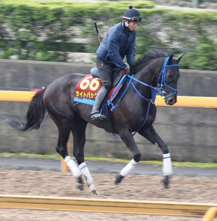 ライトバック、51年ぶり３歳牝馬Ｖへ「春先より落ち着いている」高橋一助手／新潟記念