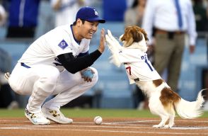 ロバーツ監督「ショックだった（笑）」　大谷翔平が犬のしつけもできることに衝撃　前夜デコピンが“始球式”