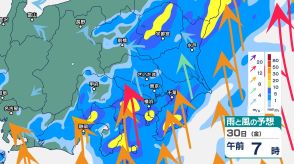 関東南部では滝のような激しい雷雨の恐れ　関東甲信では30日夕方にかけて土砂災害、河川の増水や氾濫に厳重警戒【1時間ごと・31日午後9時までの雨風シミュレーション・30日午前10時現在】