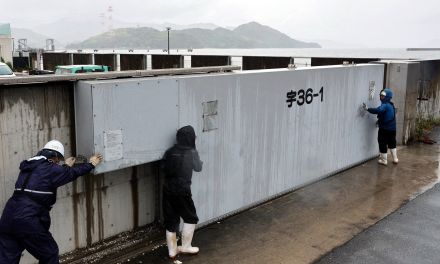 山陽新幹線の博多―新大阪間、31日は本数減らし始発から運転